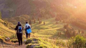 Slow tourism in Italia, i 5 cammini da non perdere Slow Tourism