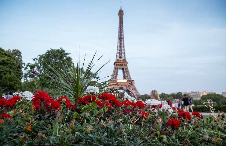 Parigi fiori