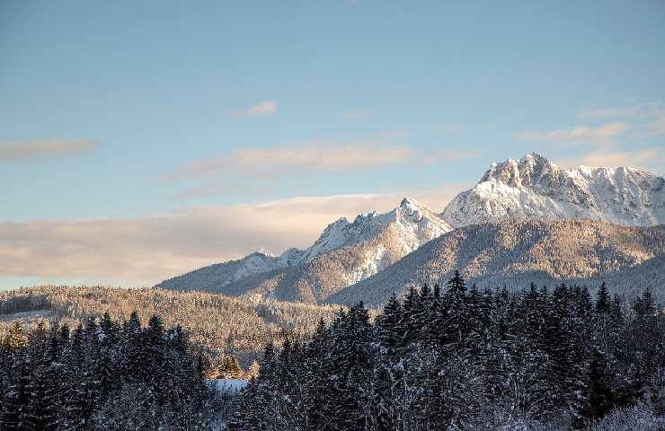 tarvisio