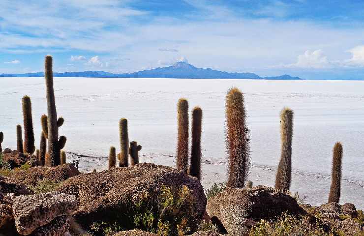 salar de uyuni