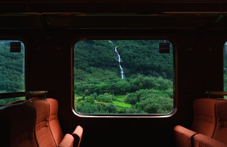 Panorama dalla finestra del treno