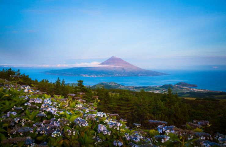 Isola di Pico