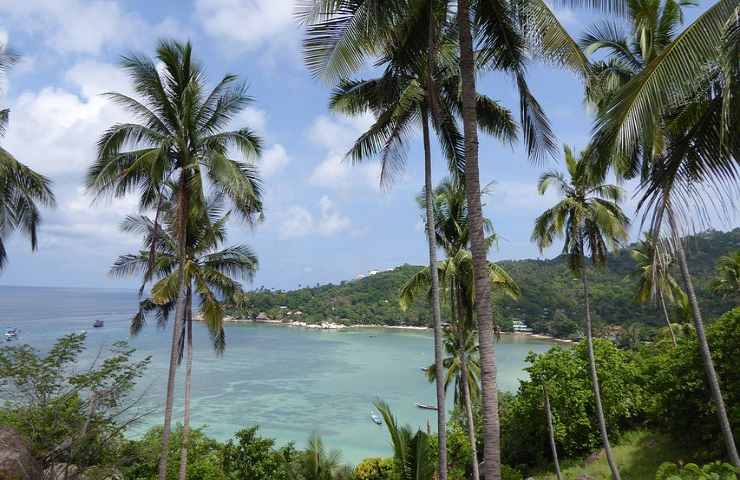 Koh Tao