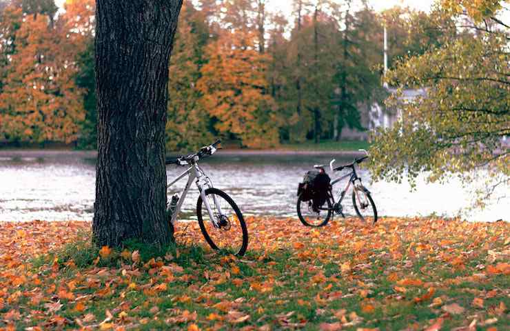 Due biciclette parcheggiate in un parco. Una appoggiata a un albero, una in riva a un corso d'acqua