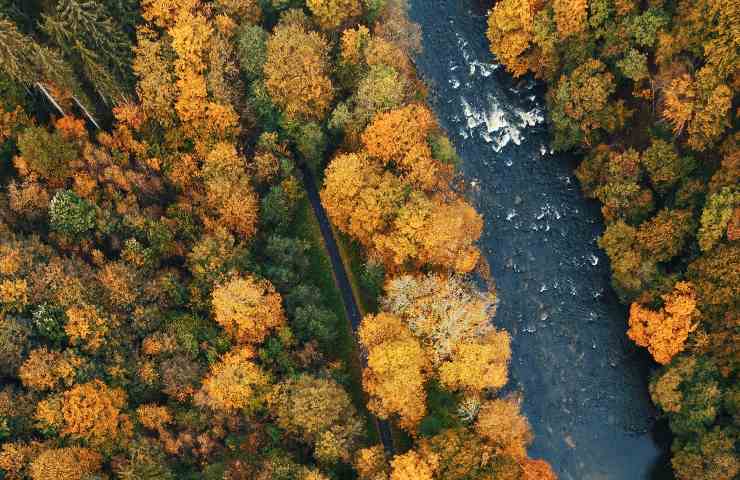 Fiume Polonia