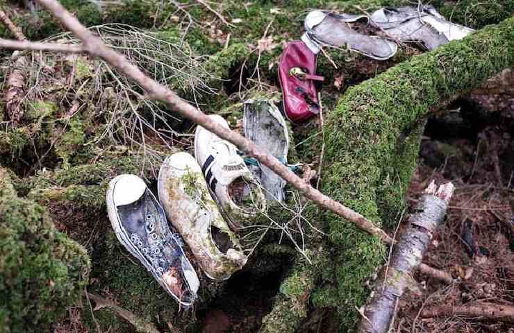 Tanti paia di scarpe abbandonate e logore in mezzo ai rovi di una foresta