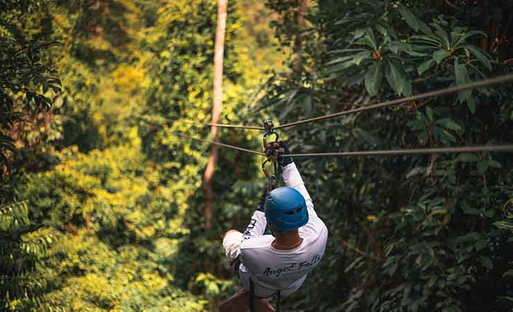 la foresta pluviale del belize