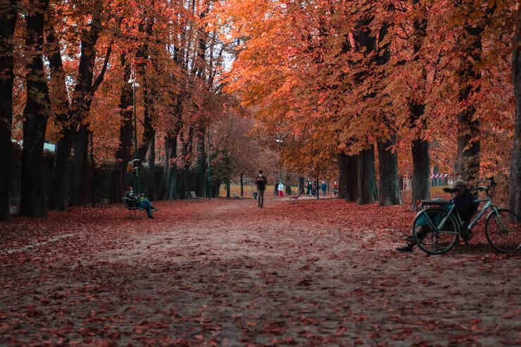 Parco Sempione a Milano in autunno