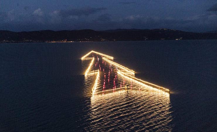 albero di antale sul lago trasimeno