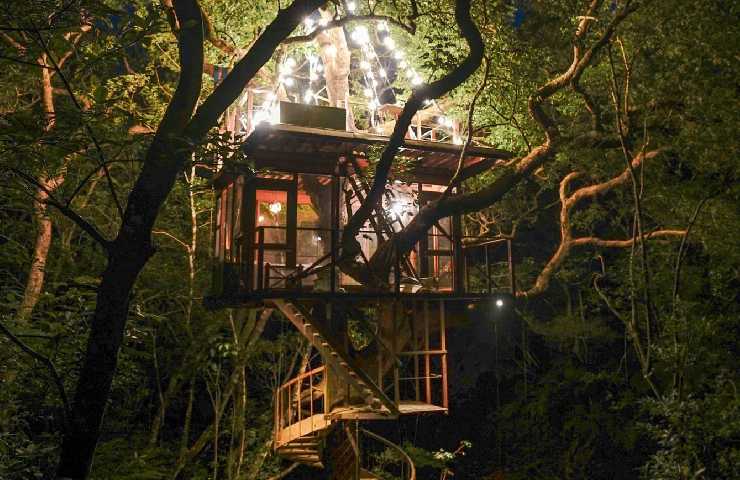 Spiral Treehouse 