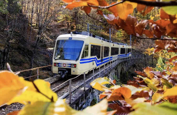 Treno panoramico nel foliage