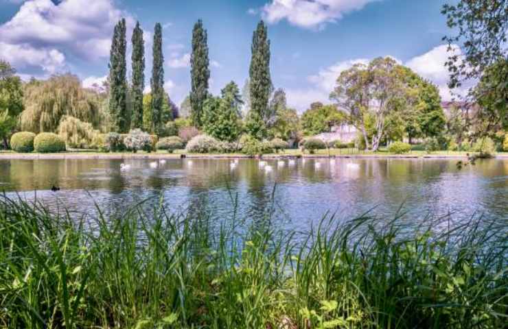 Giardini di Chantilly