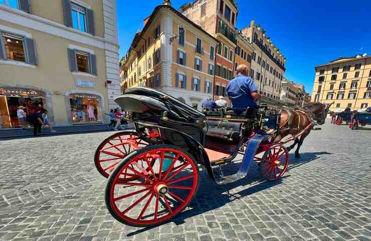 carrozza trainata da cavalli