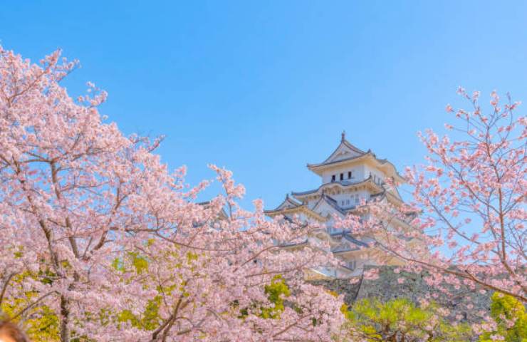 Castello di Hikone