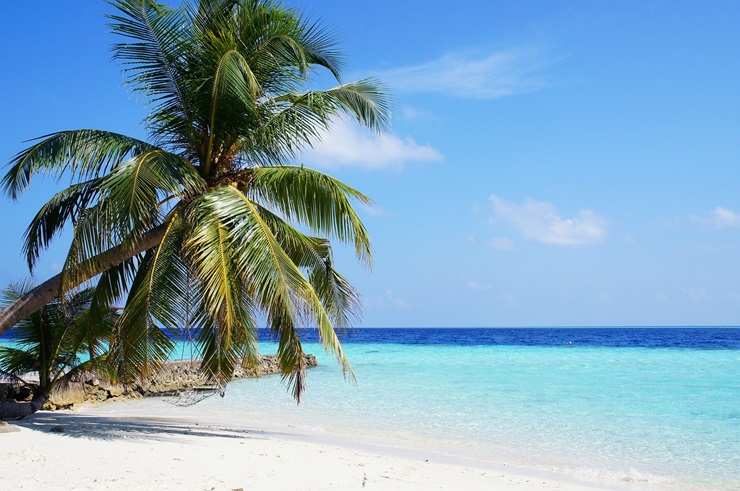 Maldive