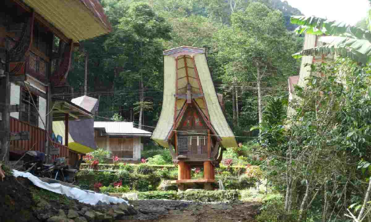 Uno scorcio di Sulawesi