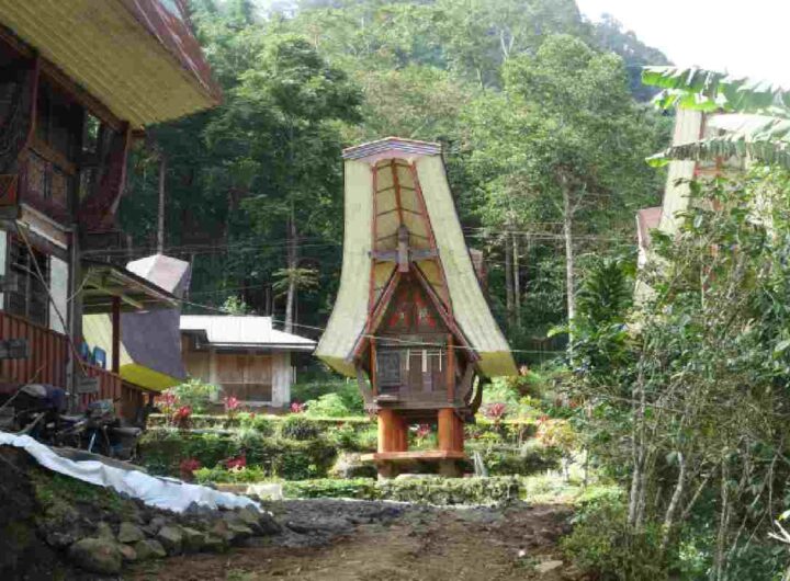 Uno scorcio di Sulawesi