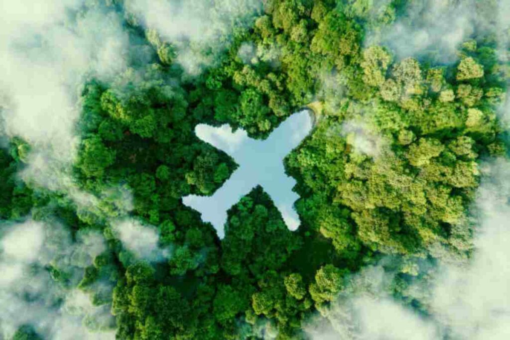 La compagnia aerea più green al mondo