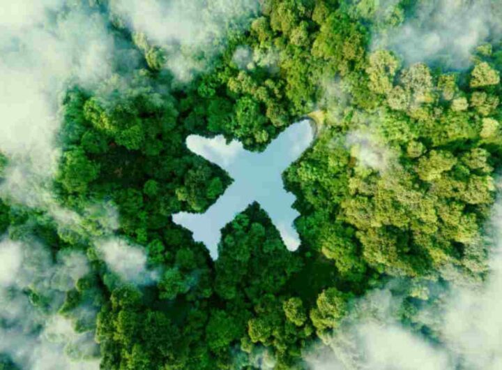 La compagnia aerea più green al mondo