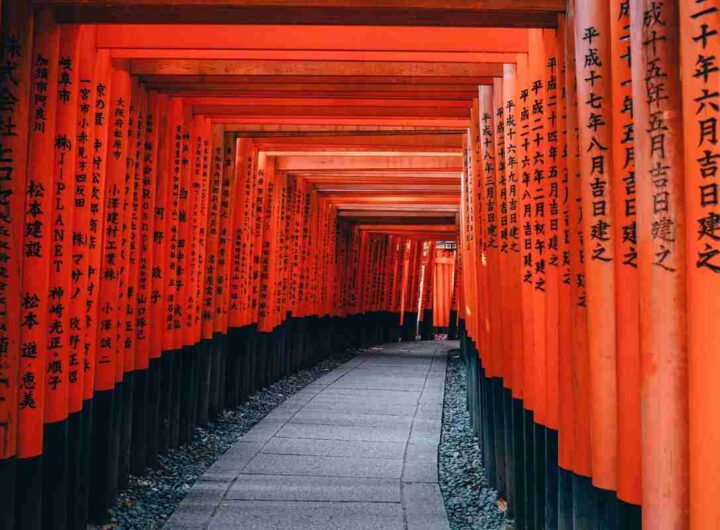 Il Giappone è la meta più gettonata per i viaggi di nozze - Nella foto: un tempio di Kyoto