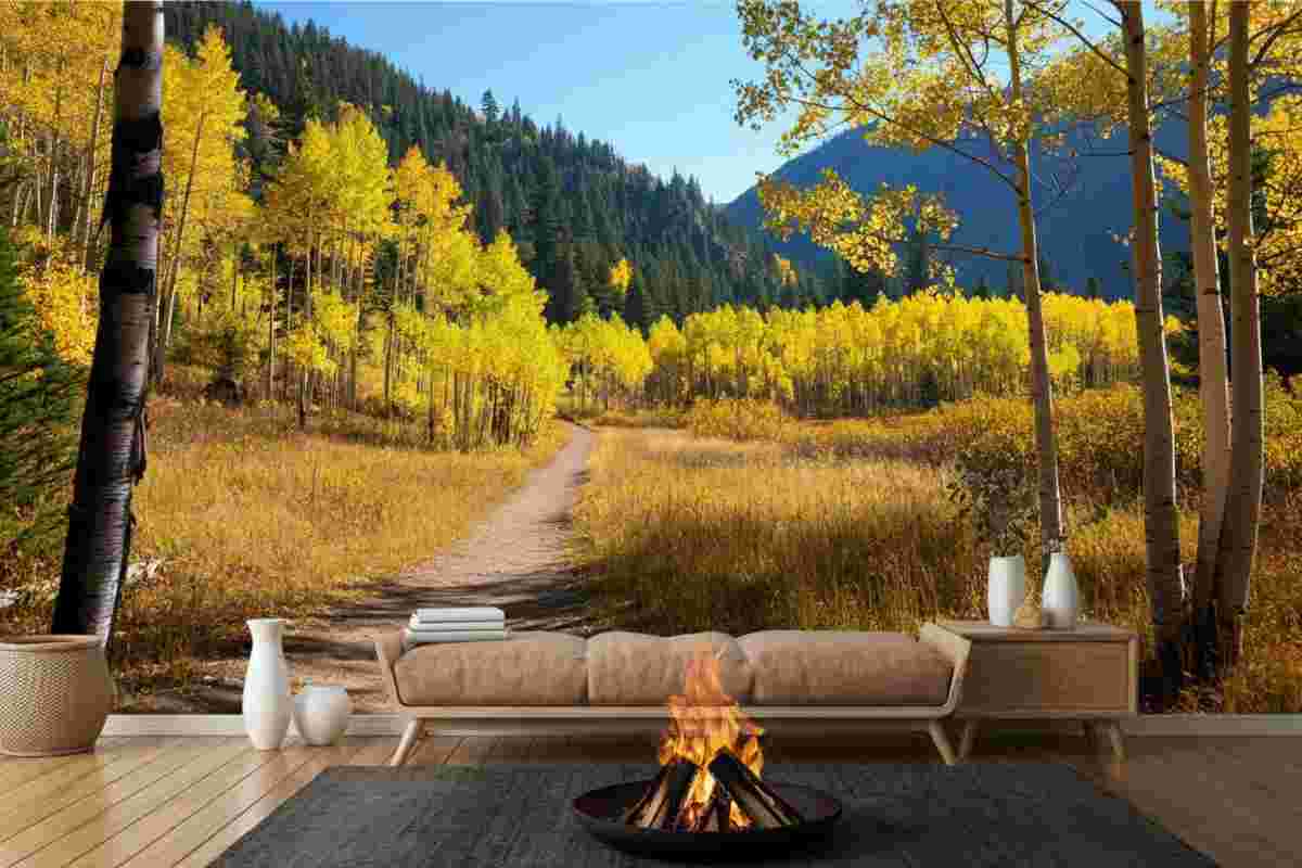 Discover the top 15 US national parks to explore this fall