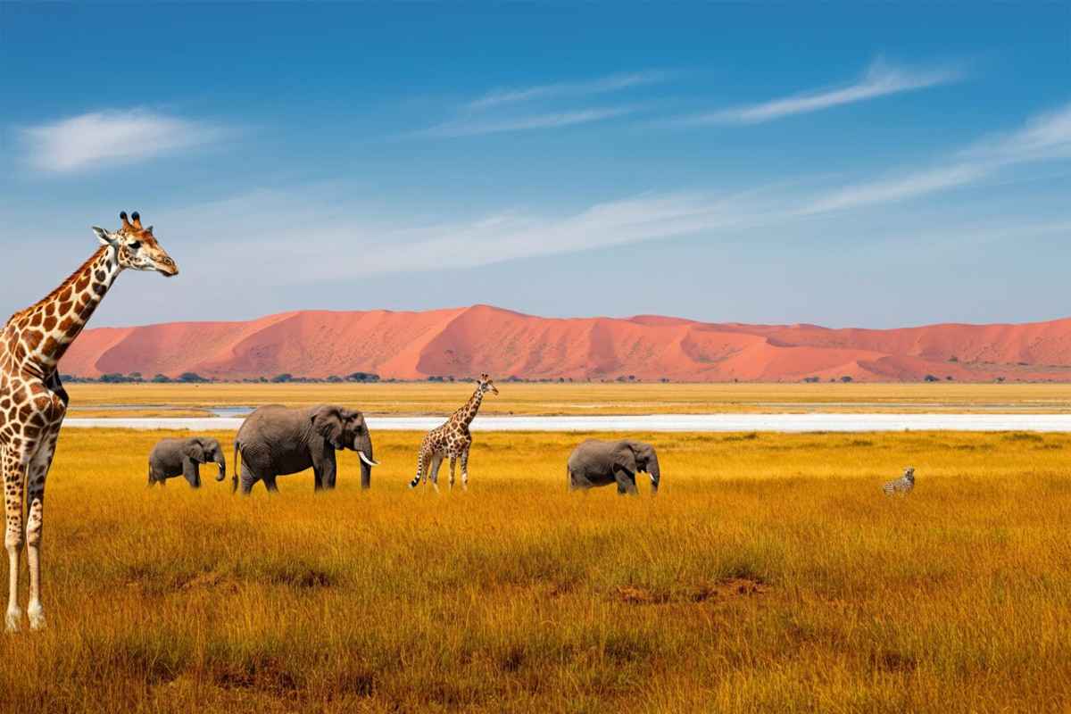 Exploring the wonders of the Kalahari Desert in Southern Africa