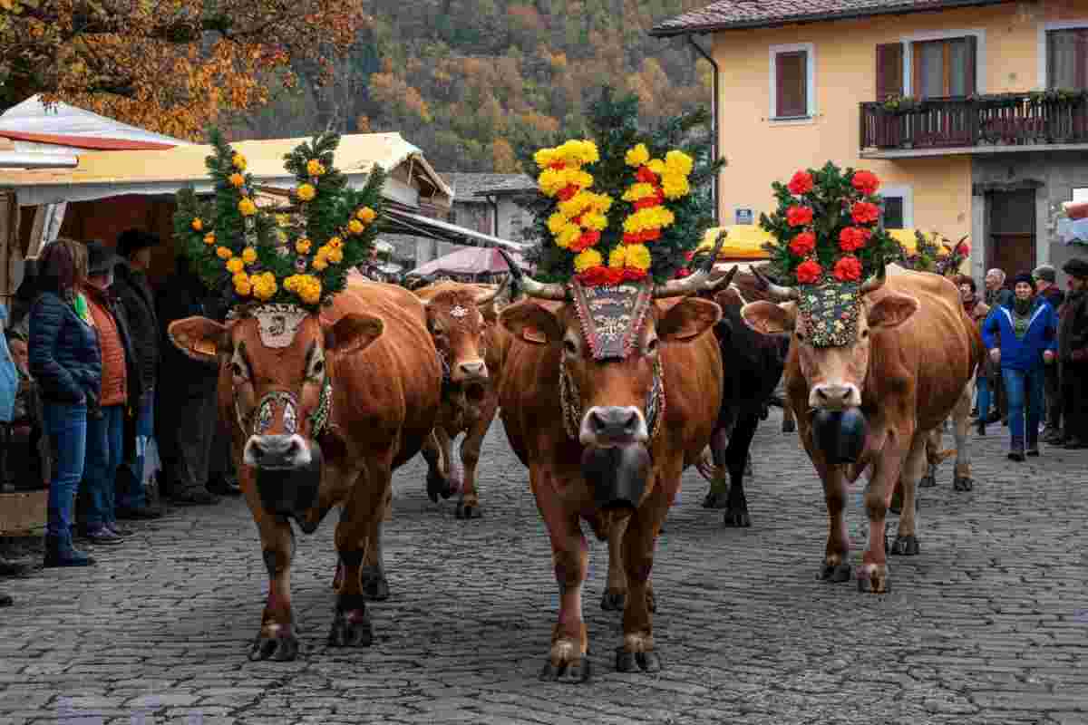 Borghi incantevoli: festeggiare l'autunno tra tradizione e magia