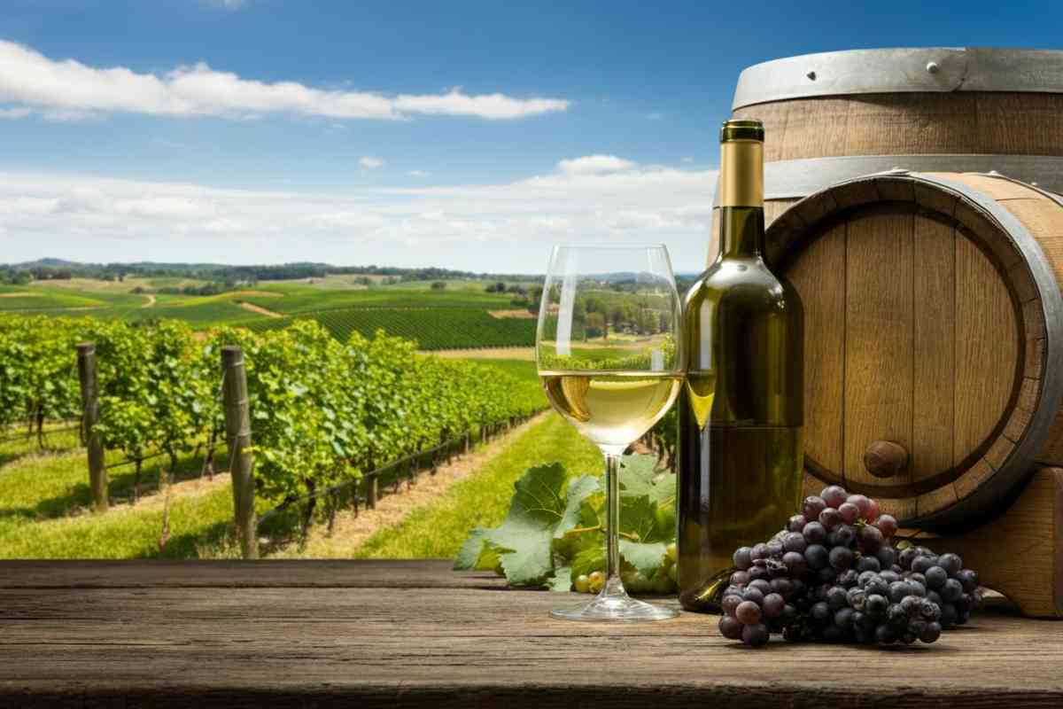 Discover the hidden gems: 10 captivating wine regions in North America