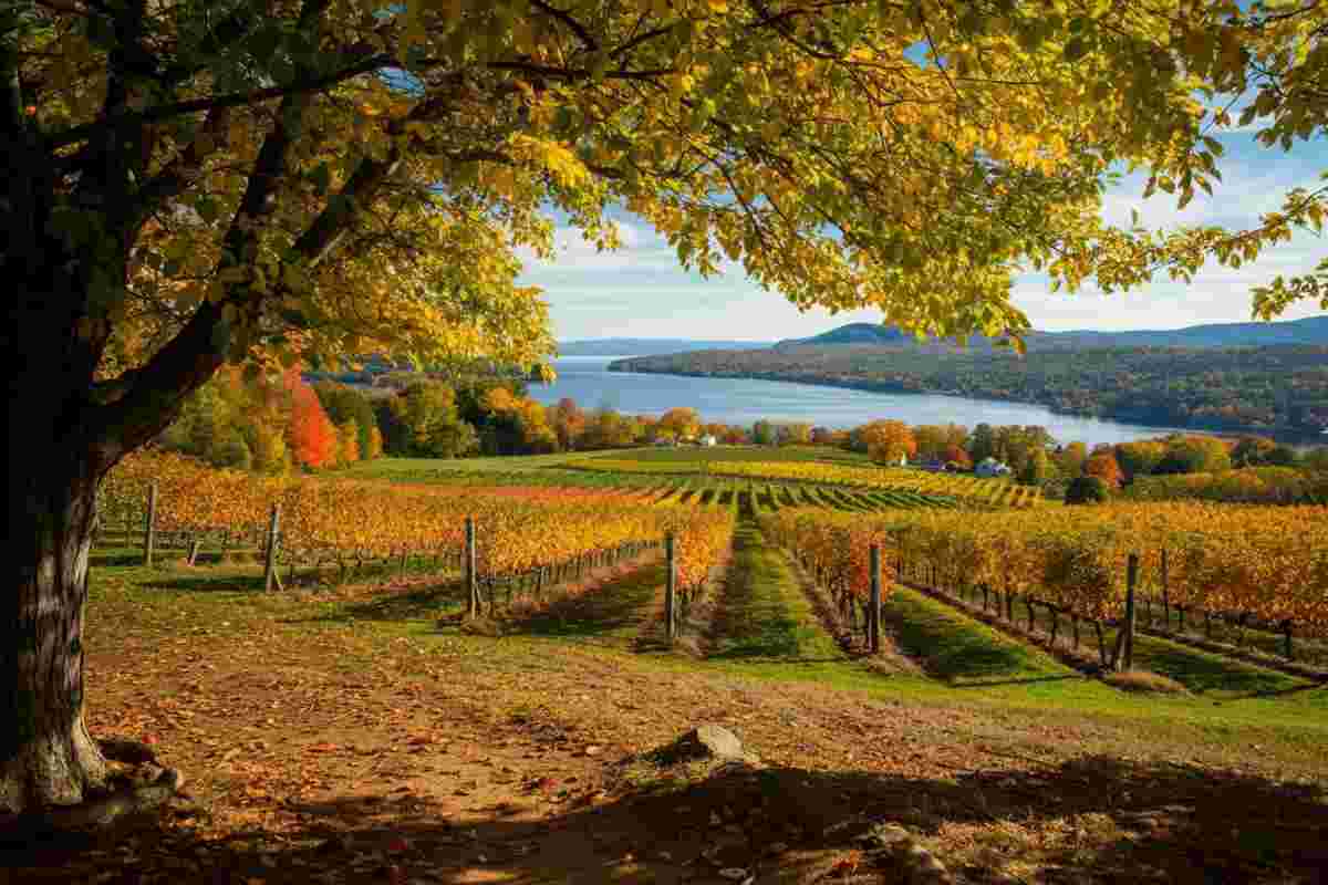 Experience the magic of a perfect fall weekend in the Finger Lakes