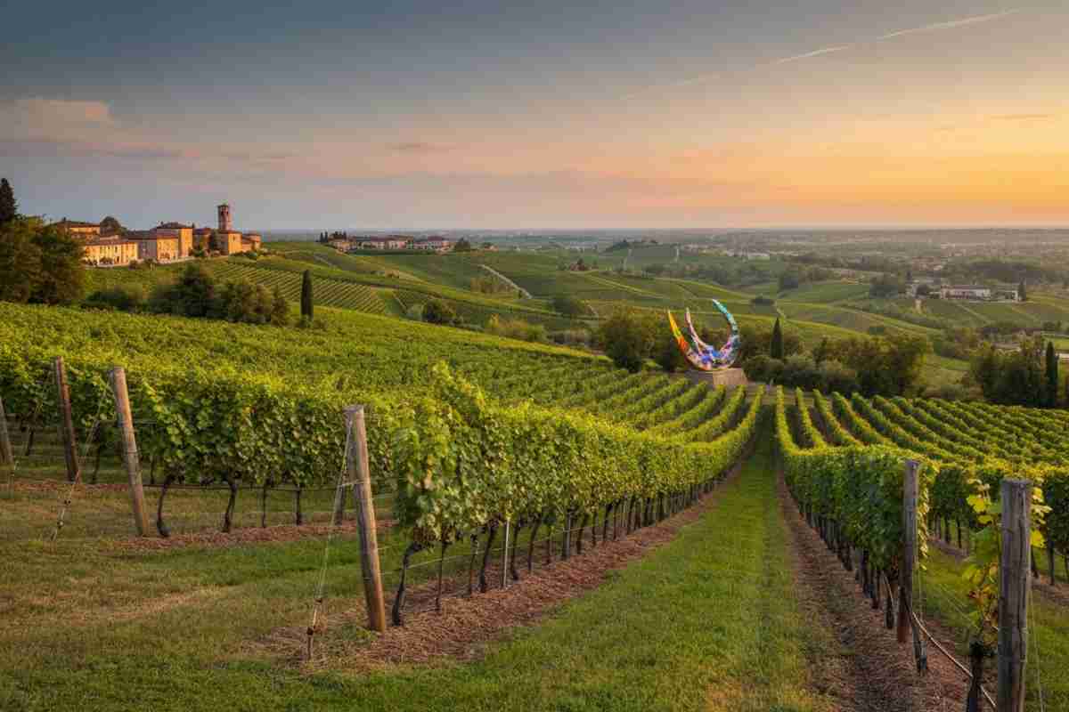 Scoprire il mondo oltre il vino: vacanze tra vigneti tra musei e safari