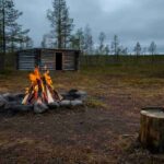 Scoprire il segreto della vita nella natura tra le foreste dei Sami