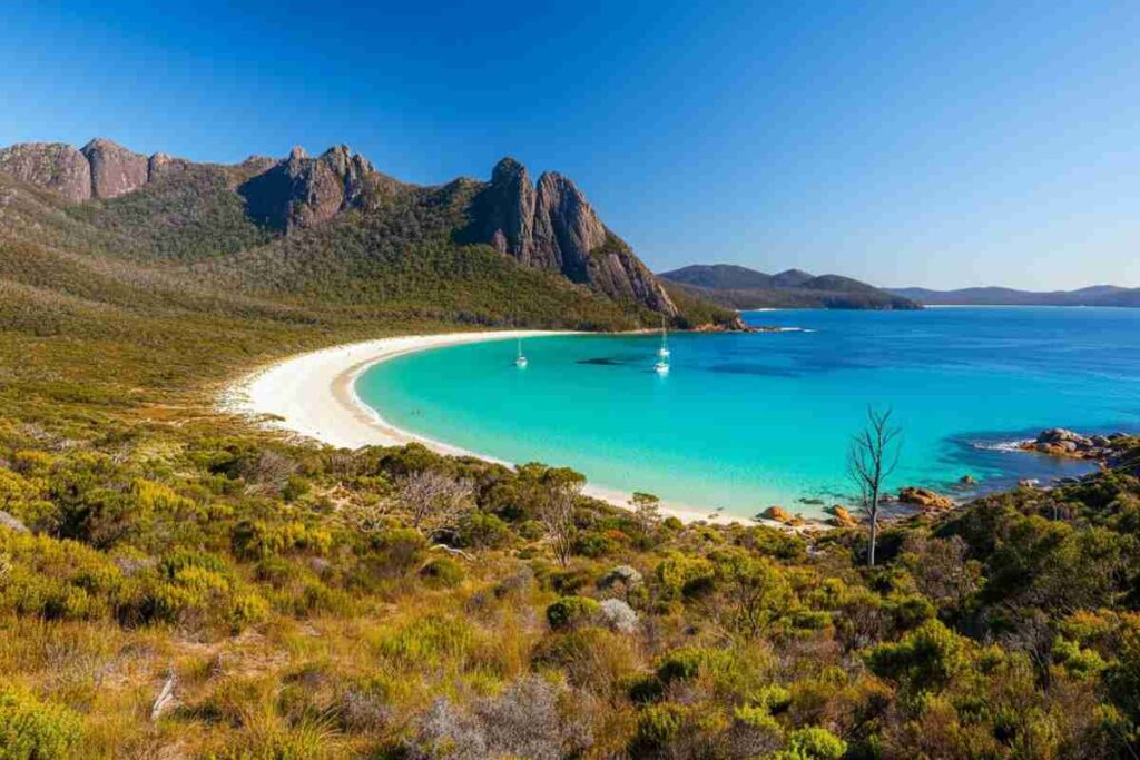 Esplorando la Tasmania: un'avventura immersi nella natura selvaggia