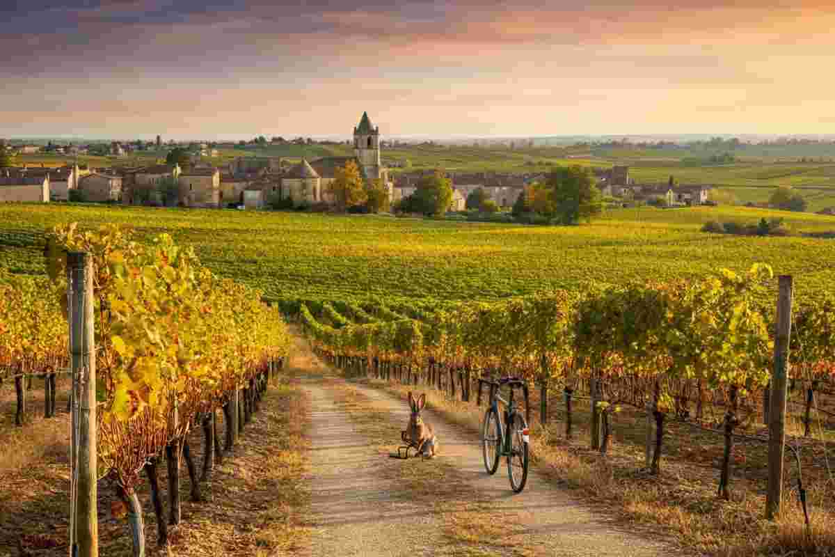 Magia e realtà: la Francia come in una fiaba