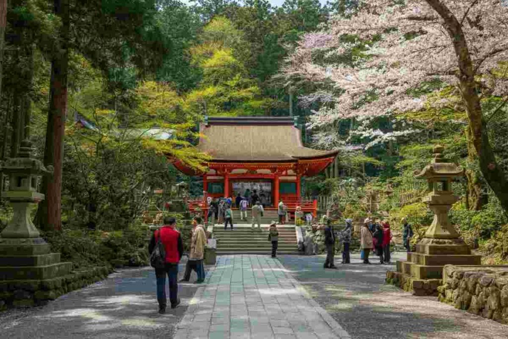 Scopri la magia degli eventi e delle feste nella penisola di Kii