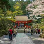 Scopri la magia degli eventi e delle feste nella penisola di Kii