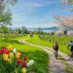 Scopri la magia della primavera al Lago di Costanza