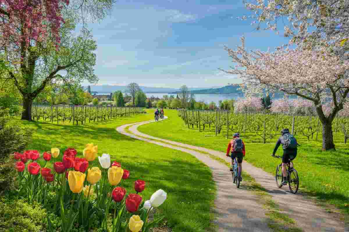 Scopri la magia della primavera al Lago di Costanza