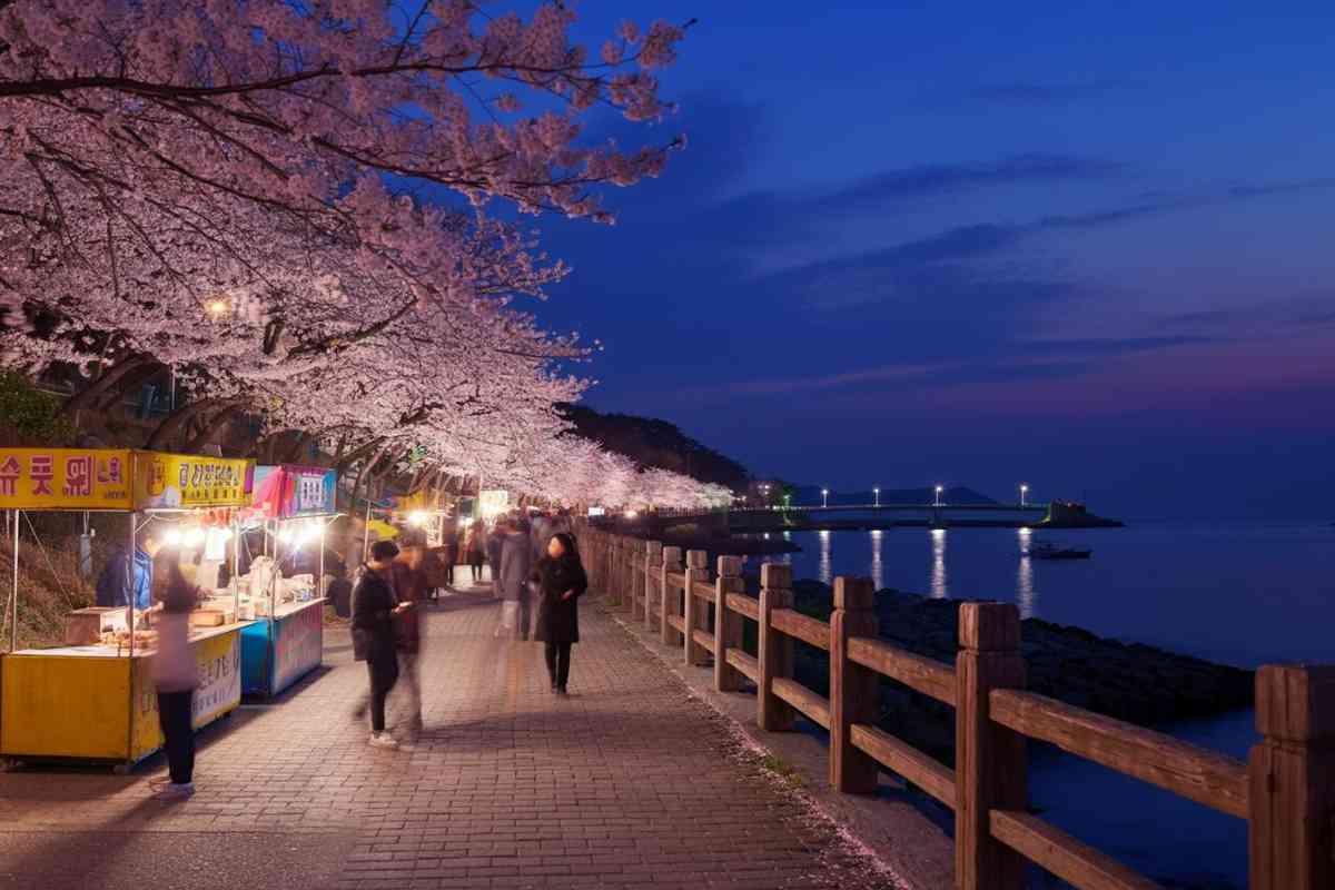 Scopri le meraviglie della Corea del Sud: le esperienze imperdibili