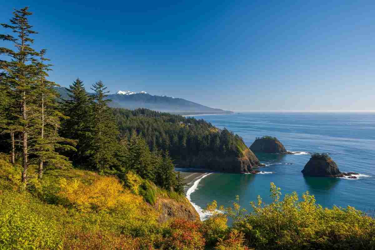 Un weekend autunnale indimenticabile nella penisola olimpica di Washington