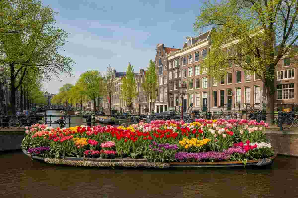Scopri il momento ideale per esplorare Amsterdam