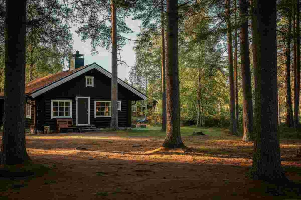 Svezia: vacanze da sogno in una baita nel bosco, ma attenti al silenzio!
