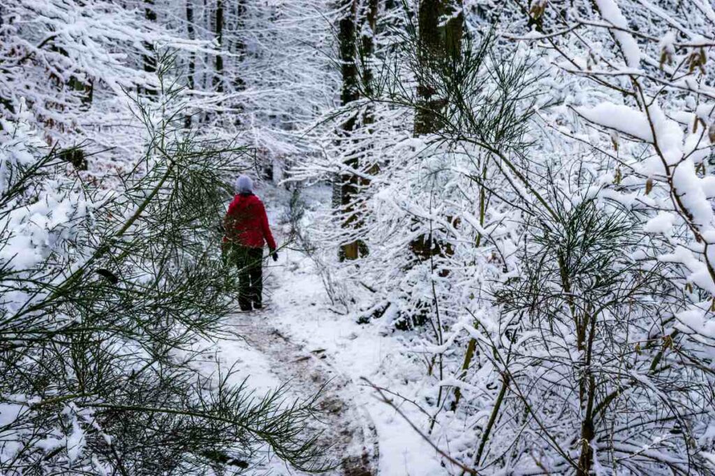 Una persona intenta a fare trekking in inverno